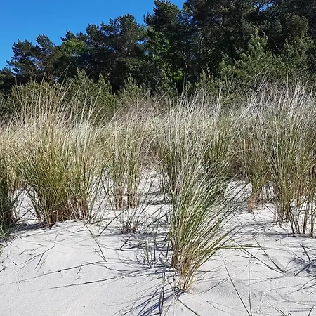 Meeresrauschen Feriehus *