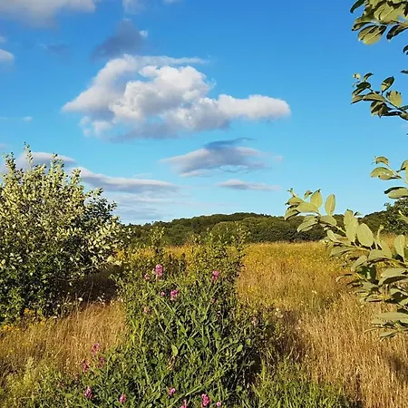 Feriehus Meeresrauschen *