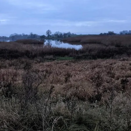 Meeresrauschen * Binz