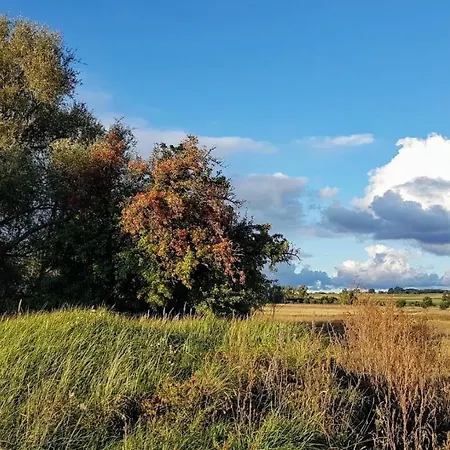 Feriehus Meeresrauschen *