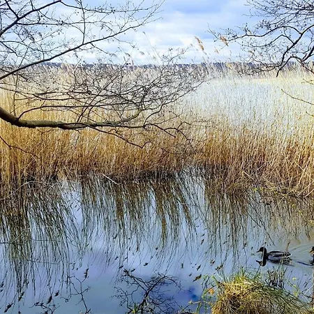 Meeresrauschen Feriehus
