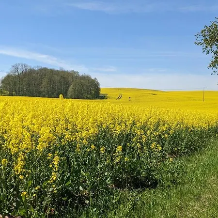 Meeresrauschen Feriehus *