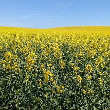 Feriehus Meeresrauschen